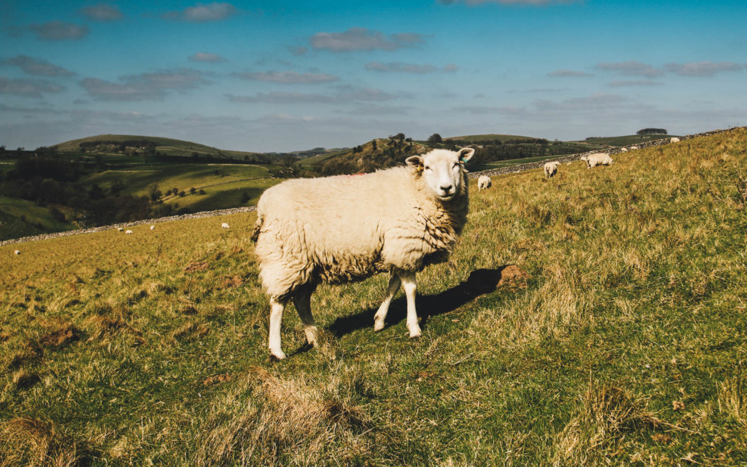 Dovedale