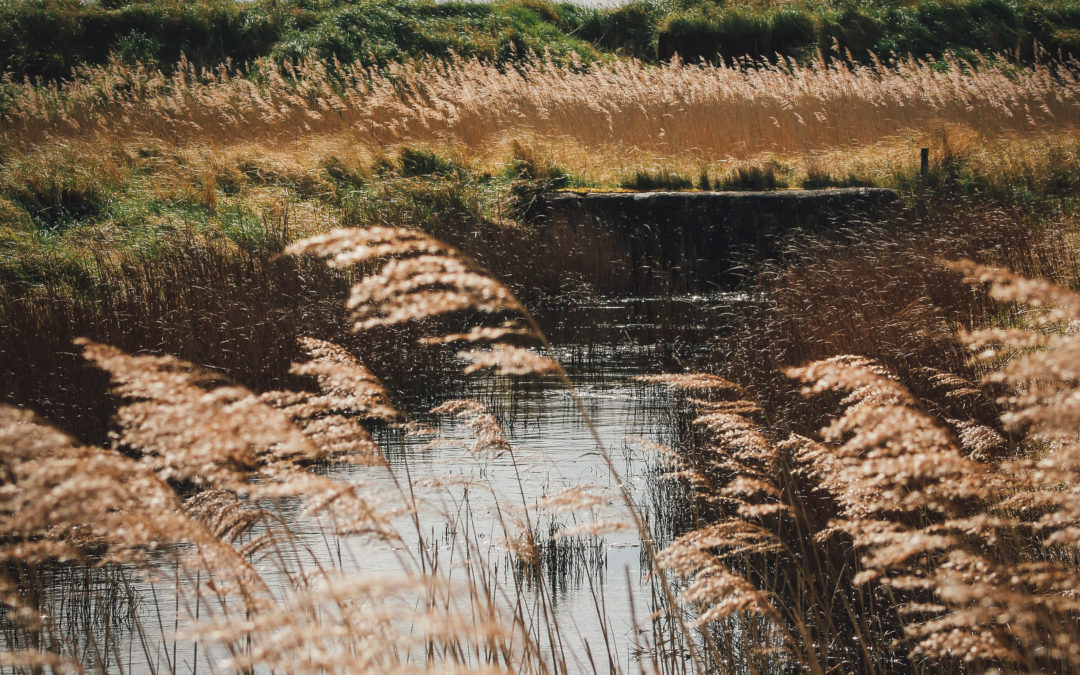 Gibraltar Point