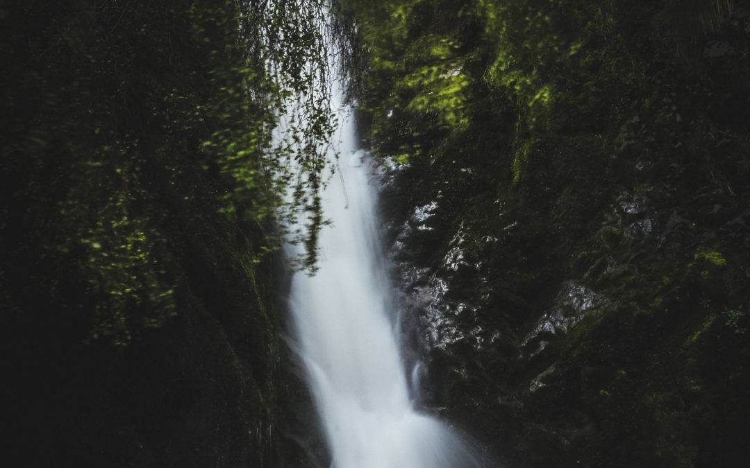 PORTFOLIO – Linhope Spout